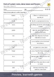 Preview: Parts of a plant: roots, stem, leaves and flowers file, page 3: worksheet A